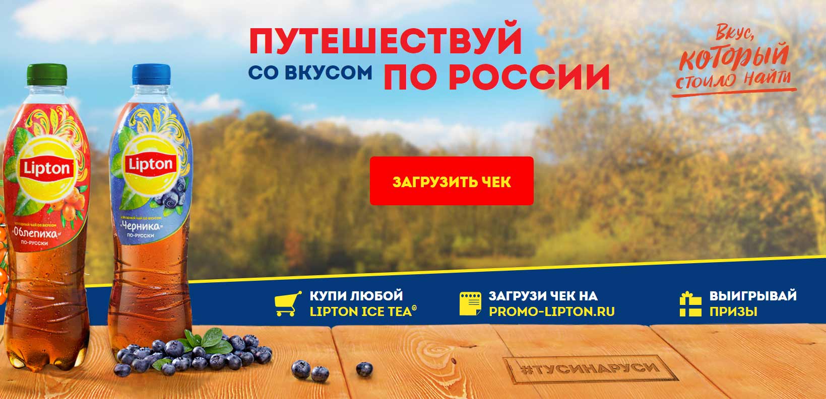 magnit.promo-lipton.ru регистрация