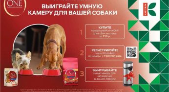 www.purinaone.ru/dog/karusel : Регистрация + условия акции Purina One и Карусель С 1 по 28 июля 2019