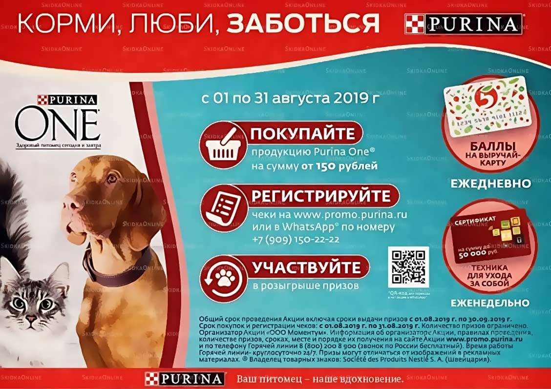 promo.purina.ru пятерочка регистрация