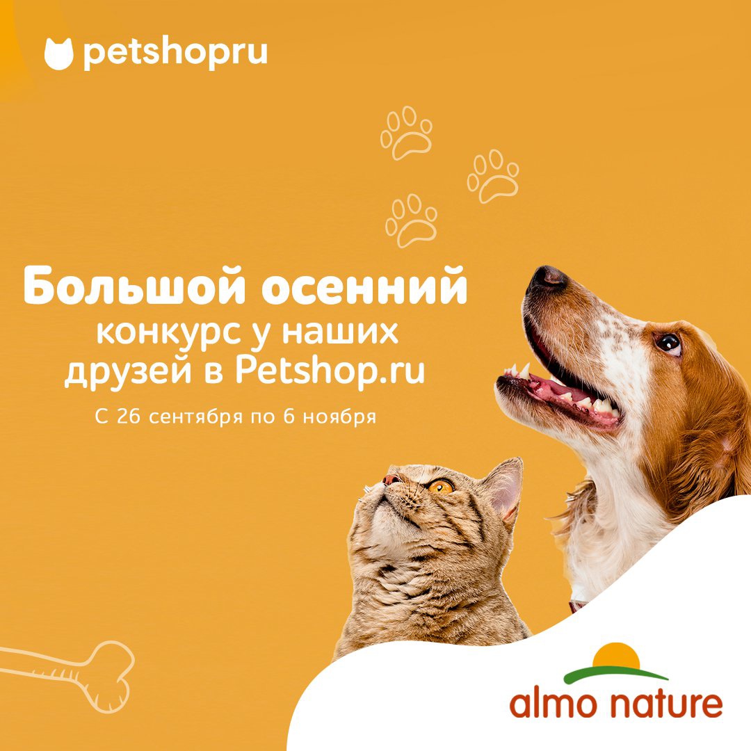 Промо-акция Petshop.ru: «Большой осенний конкурс»