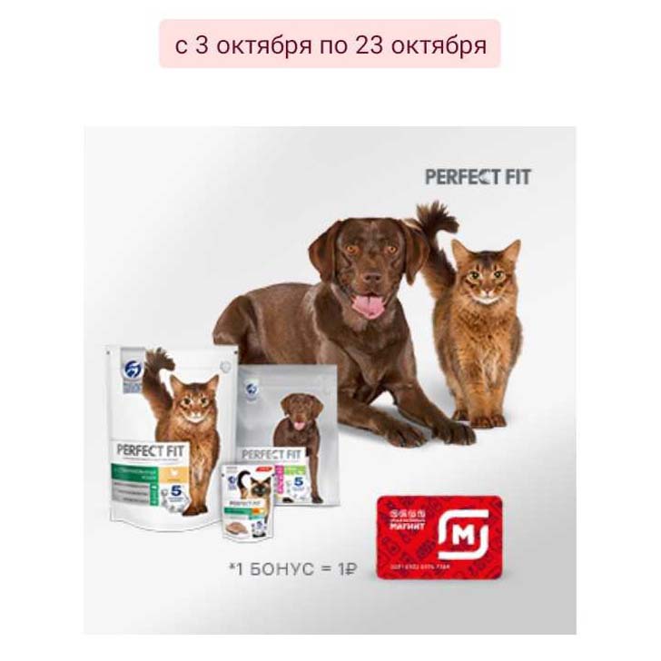 Промо-акция Perfect Fit и Магнит: «Призы с заботой»