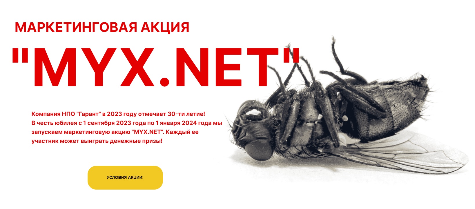 Промо-акция НПО Гарант: «MYX.NET»