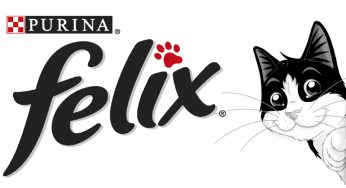 Акция Felix (Фелкис) и Дикси: Поймайте кото-дзен в Дикси! (2023-11-04 05:29:36)