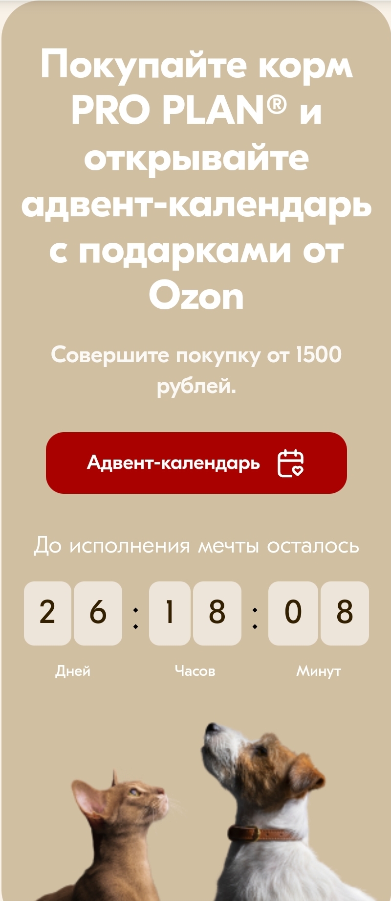 «Адвент-календарь» от Pro Plan и Ozon.ru