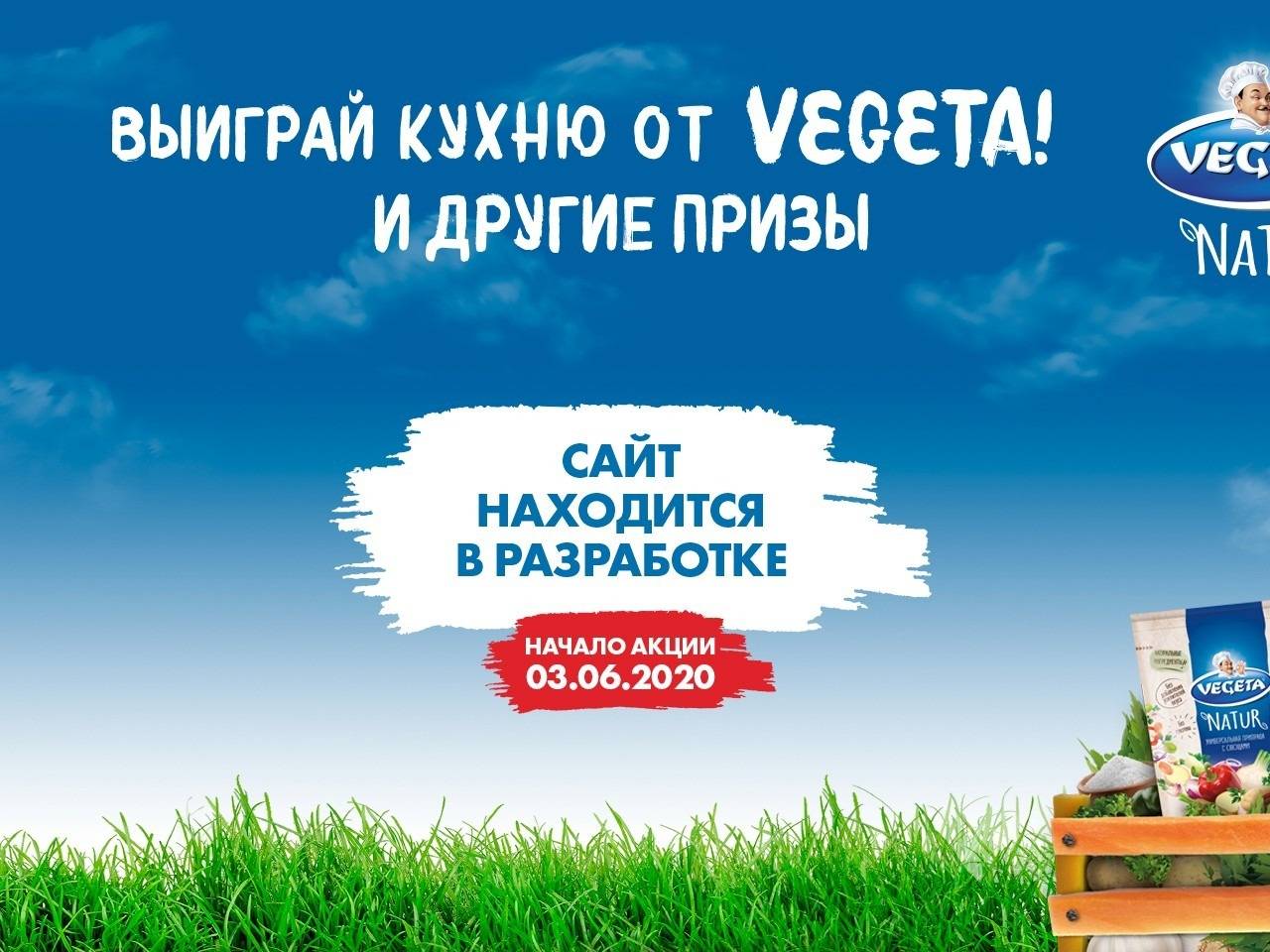www.vegetapromo.ru зарегистрировать чек